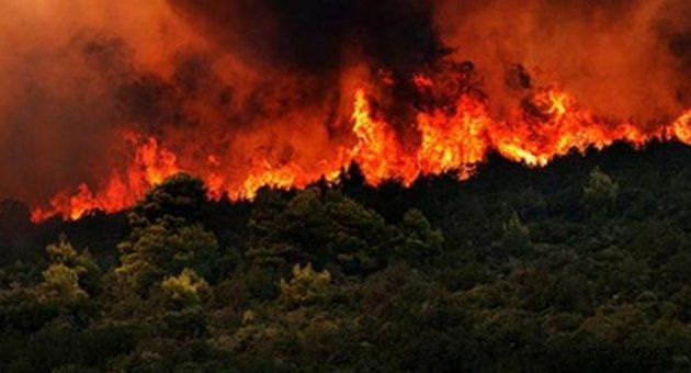 Orman Bölge Müdürü'nden yangın uyarısı