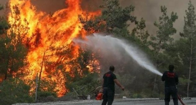 Orman yangınlarında 10. gün