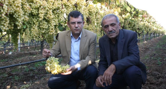 Ortadoğu’daki savaş Türkiye’deki üzümü vurdu