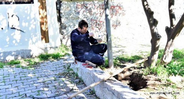 Parklar saldırı altında