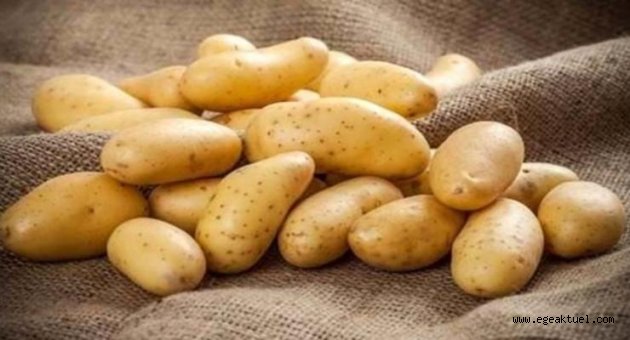 'Patates ithal edilmesiyle ilgili ciddi tereddütlerimiz var'