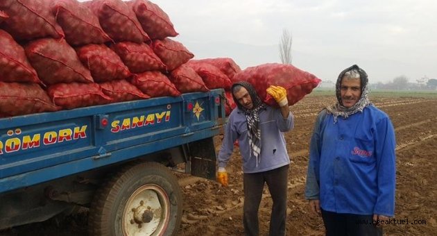 Patates üreticisi fiyattan memnun değil