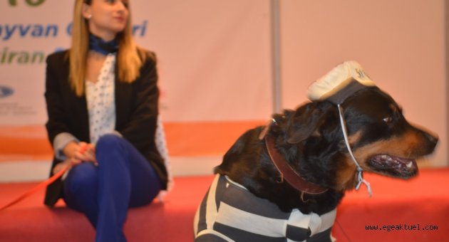 Pet İzmir 2018 açıldı