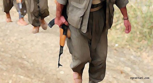 'PKK Almanya’da IŞİD’e karşı savaşacak militan topluyor”