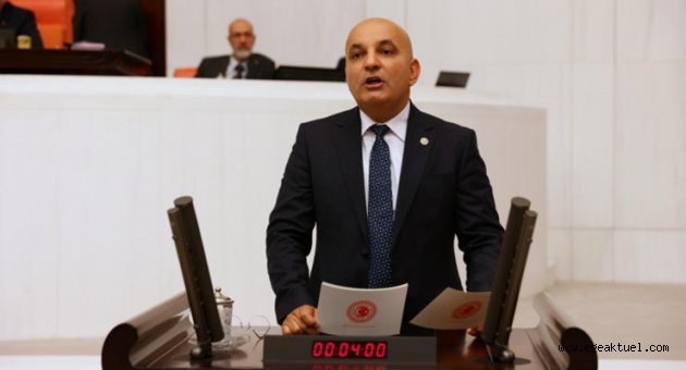 Polat, Ilıpınar'daki yangını Meclis'e taşıdı
