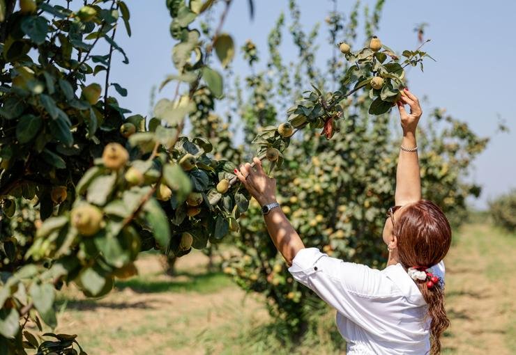 Büyükşehir’in su yatırımı çorak toprakları bereketlendirdi