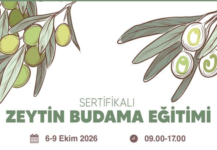 Buca Belediyesi’nden ücretsiz sertifikalı zeytin budama eğitimi