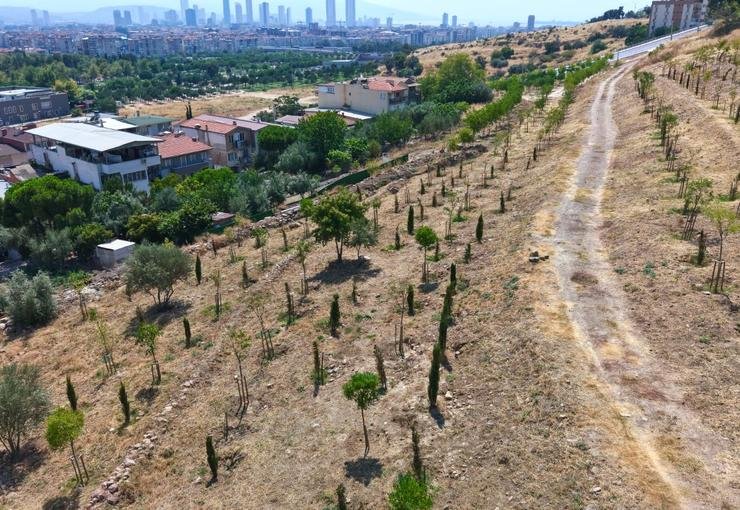 Kıraç topraklarda yeşil dönüşüm
