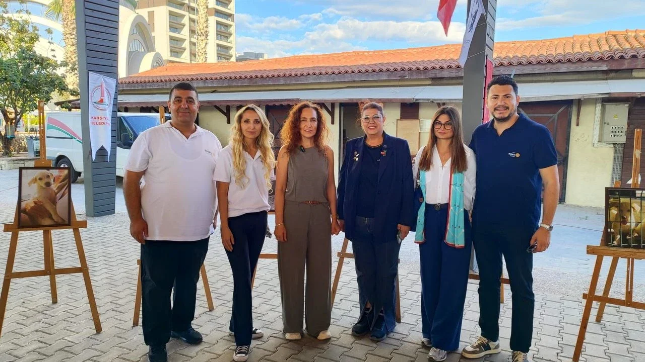 Karşıyaka'da sahipsiz hayvanlar için bir nota bir yuva