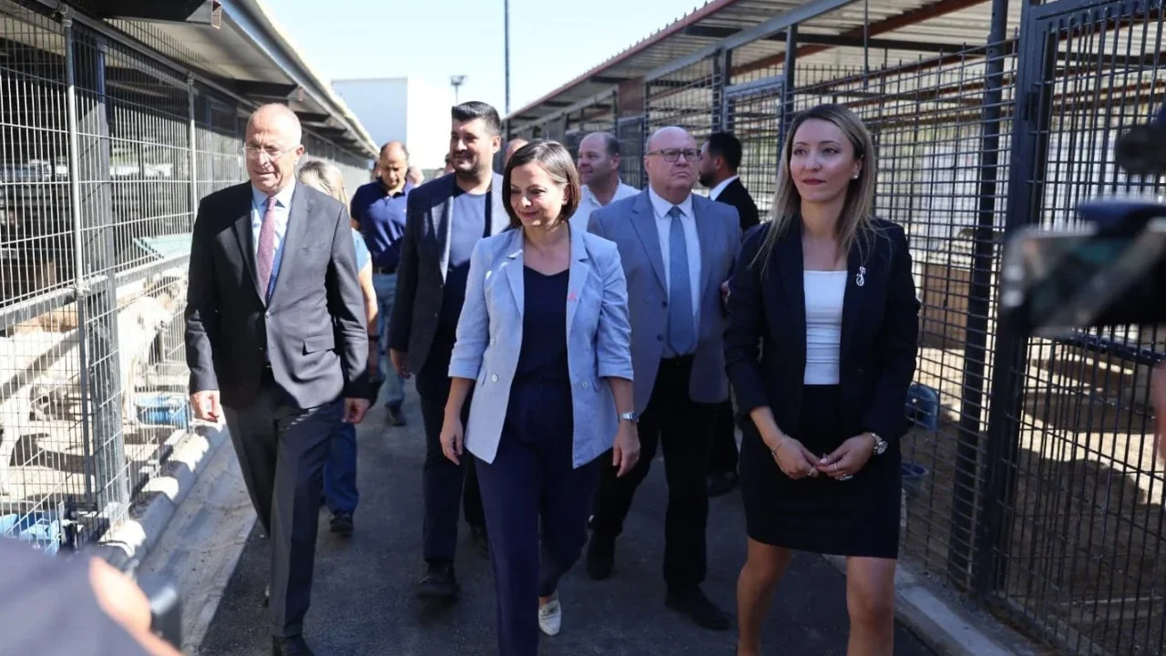 Uzundere’de büyük dönüşüm! Hayvan Bakımevi yenilendi, kapasite artırıldı