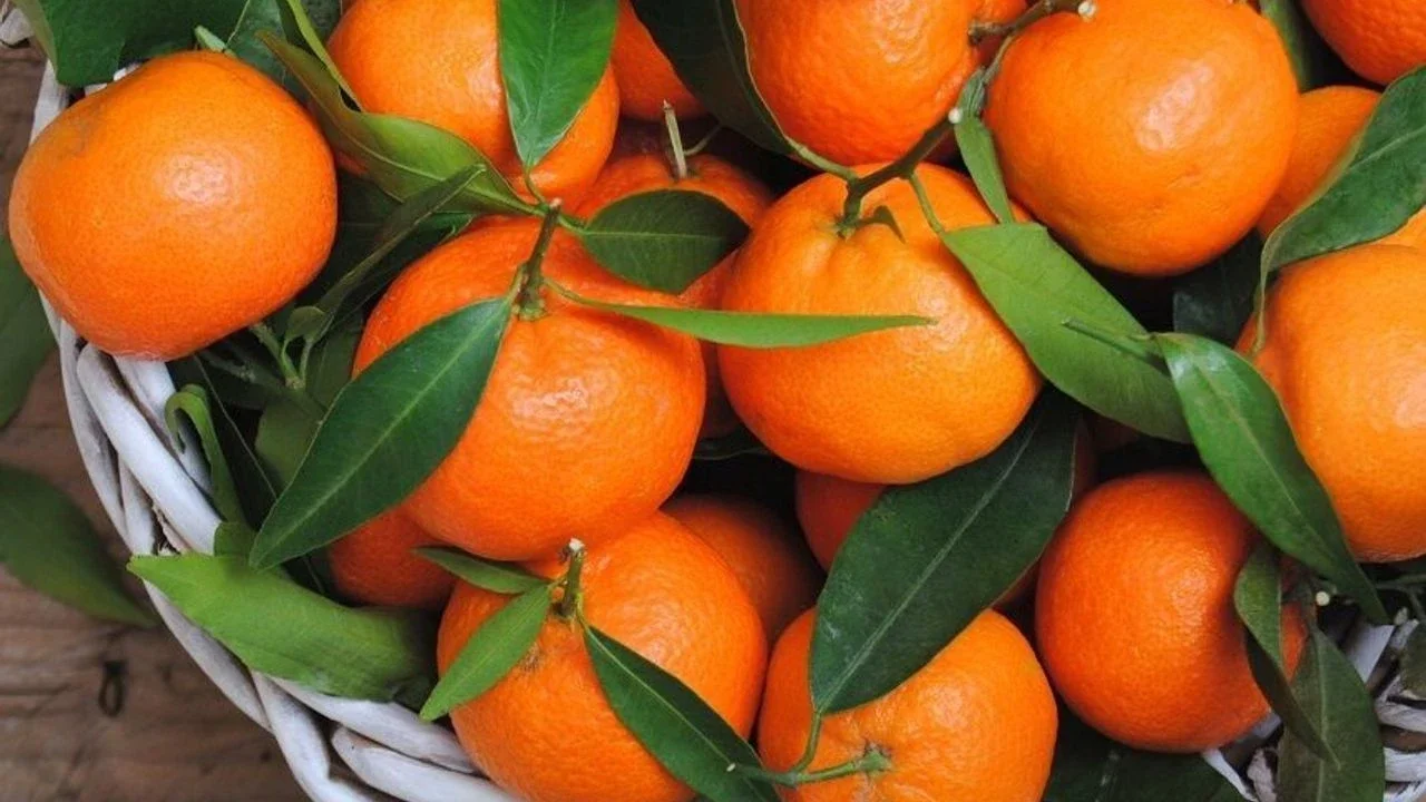 Grip ve nezleye karşı mandalina tüketenler dikkat!  Nezle başlayınca mandalina yemek işe yarıyor mu? Uzmanı açıkladı