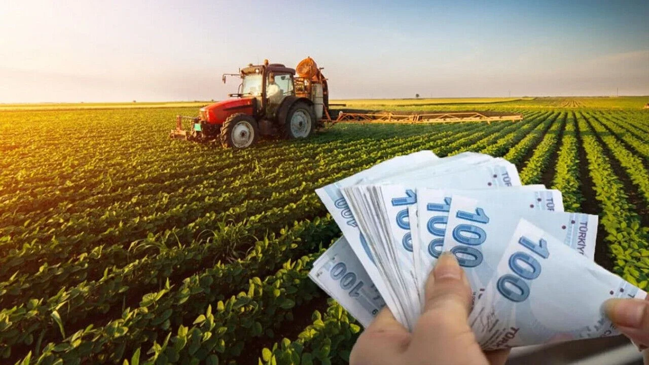 Çiftçilere yeni destek! TARSİM'de yeni dönem: Cevizden muza kadar 16 ürün daha sigortalanacak