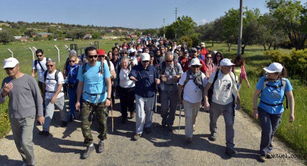 Rota Yarımada