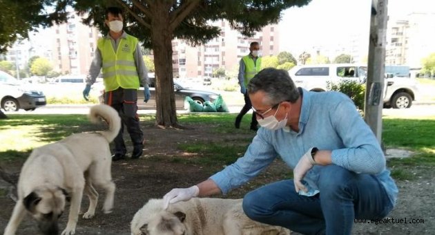 Salgında can dostlar unutulmadı: 2 bin 100 kilogram mama desteği