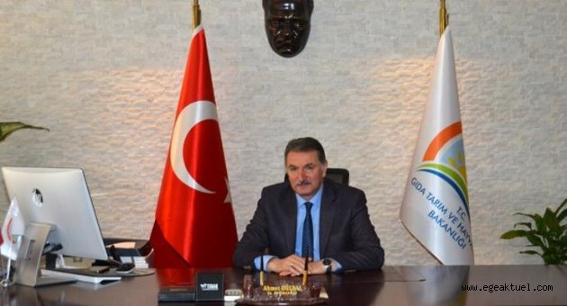 ''Şarbon hastalığı vakasına rastlanmadı''