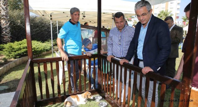 Satın alma, sahiplen"