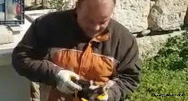 Seferihisar Belediyesi’nden “can dostu” hareket