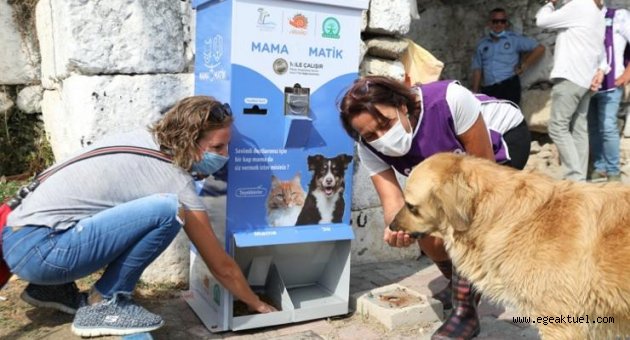 Seferihisar Belediyesi’nden mamamatik uygulaması
