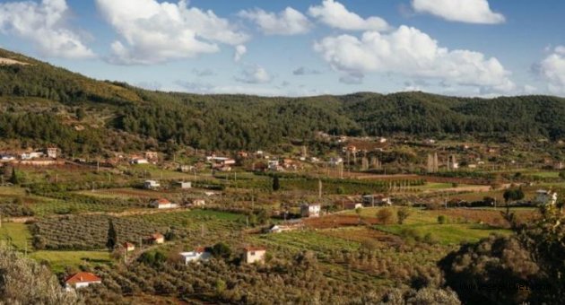 Seferihisar’da köylülerin enerji santrali isyanı