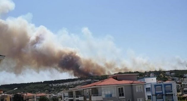 Seferihisar Sığacık'ta korkutan yangın