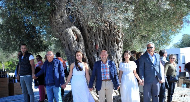 Seferihisar Tarım Şenliği başlıyor
