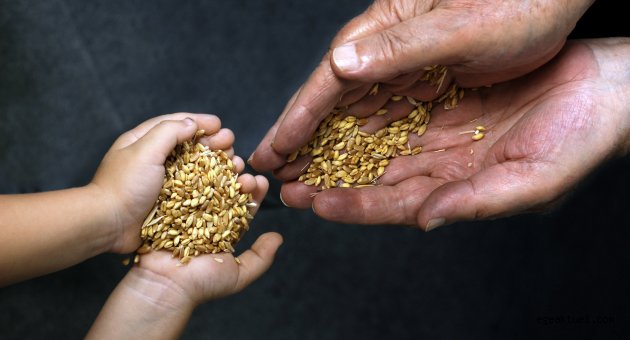 Seferihisar'da tohum çalıştayı