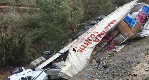 Selçuk'ta Tır şarampole uçtu, 1 kişi ağır yaralandı