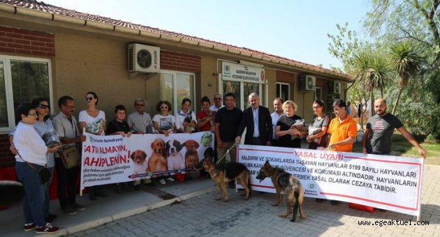 Şenol’dan çağrı: Satın alma, sahiplen!