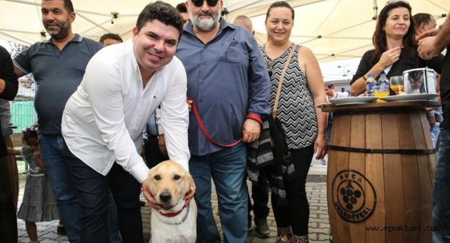 Sevginin festivali: FestPati 