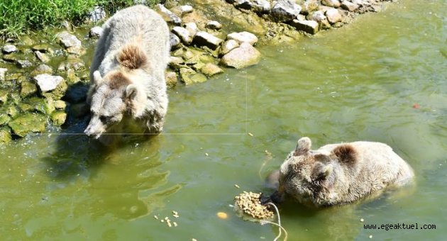 Sıcak havalarda parkın gözde ikramı oldu