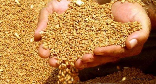 Sıfır sorun politikası hububatı sıfırladı