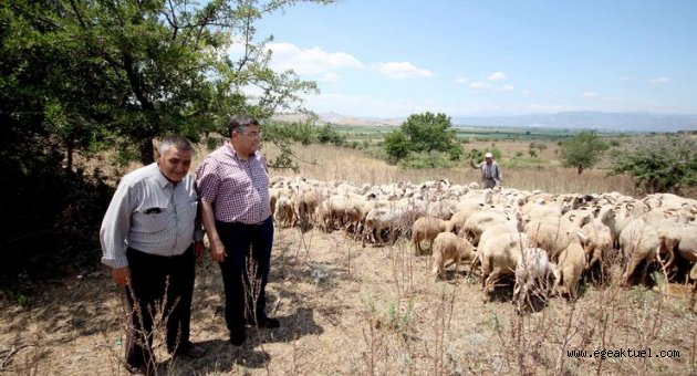 Sındır, veba salgınını Meclis gündemine taşıdı