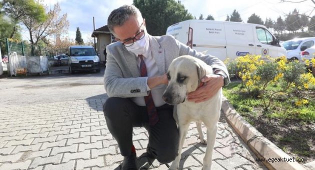 Sokağa çıkma kısıtlamalarında can dostlar unutulmuyor