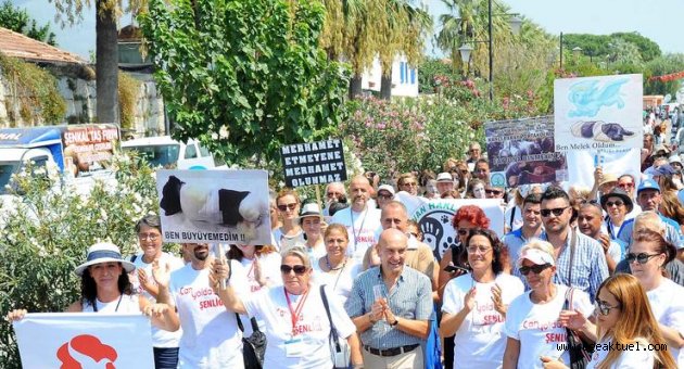 Sokak hayvanları için buluştular