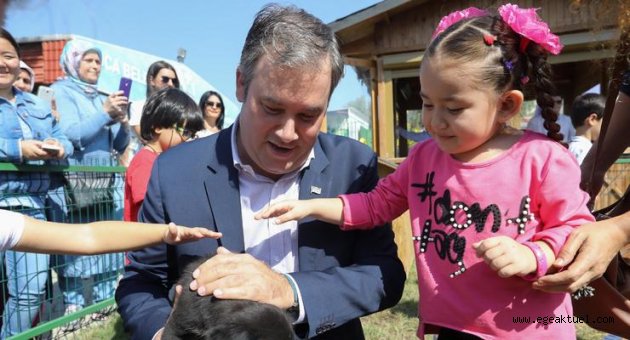 ''Sokak hayvanlarını yok saymayın''
