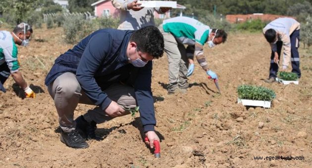 Sürdürülebilirlik Oscar’ı Buca Belediyesi’ne