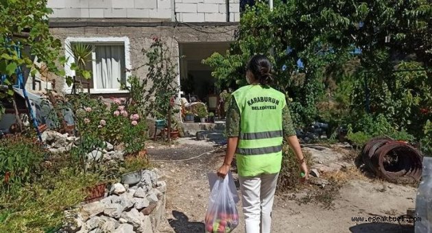 Tarladan vatandaşın sofrasına…