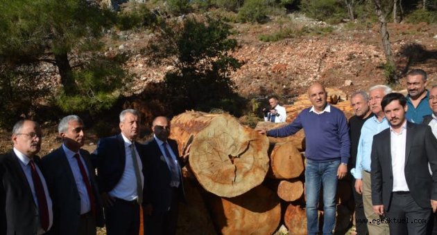 "Taş için orman katledilmesine izin vermeyeceğiz"