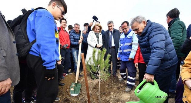 Taş ocağıydı, orman olacak
