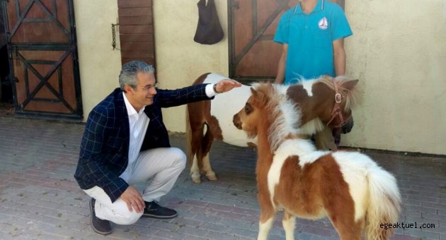  Tay Park ailesi büyüyor