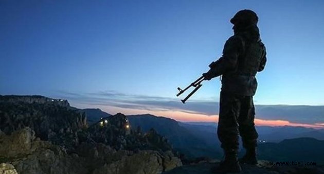 Terörist başı Öcalan'ın kuzeni etkisiz hale getirildi