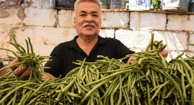 Torbalı, ‘Börülce’yi festivalle tanıttı