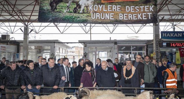 Torbalı’da çiftçilere 173 hayvan dağıtıldı