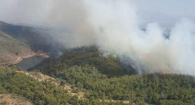 Torbalı'da orman yangını