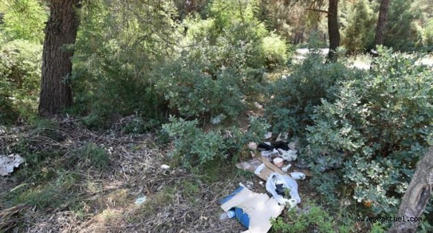 Torbalı'da vatandaşlar ormanı temizleyecek