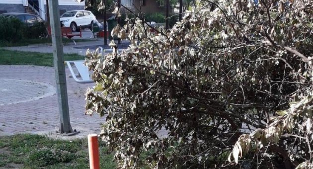 Tugay’dan kedi vahşetine sert tepki!