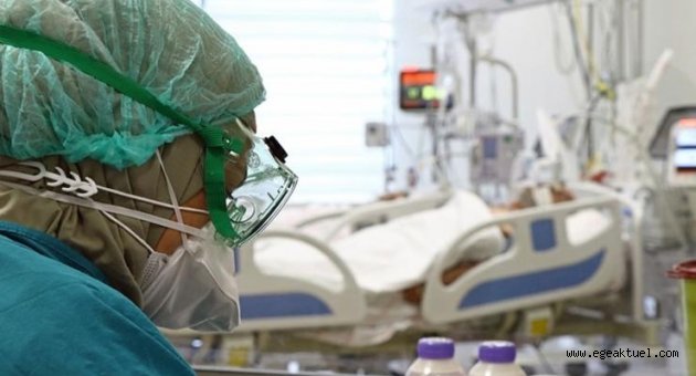 Türkiye'de koronavirüsten 193 kişi daha hayatını kaybetti