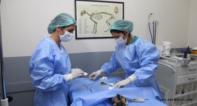 Üçyol Hayvan Sağlığı Merkezi yeniden hizmette