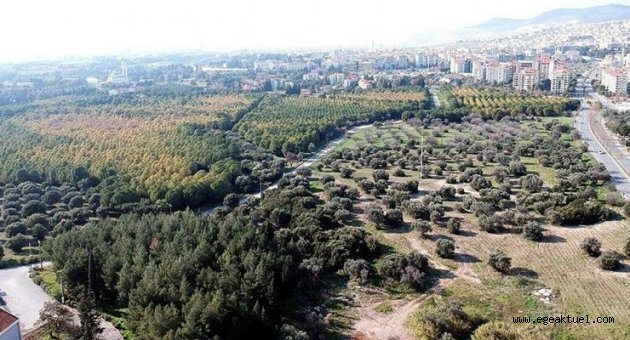 Üniversiteye 'Millet bahçesi' TBMM gündeminde