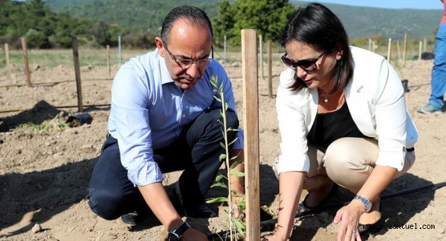 Urla’da ‘Goji Berry’ üretimi artıyor